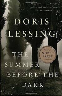 cover of The Summer Before the Dark
