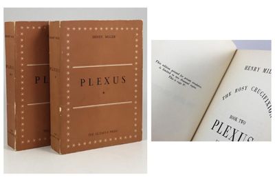 Plexus.