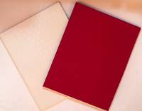 Contemporary Illustrated Books: Word and Image, 1967-1988