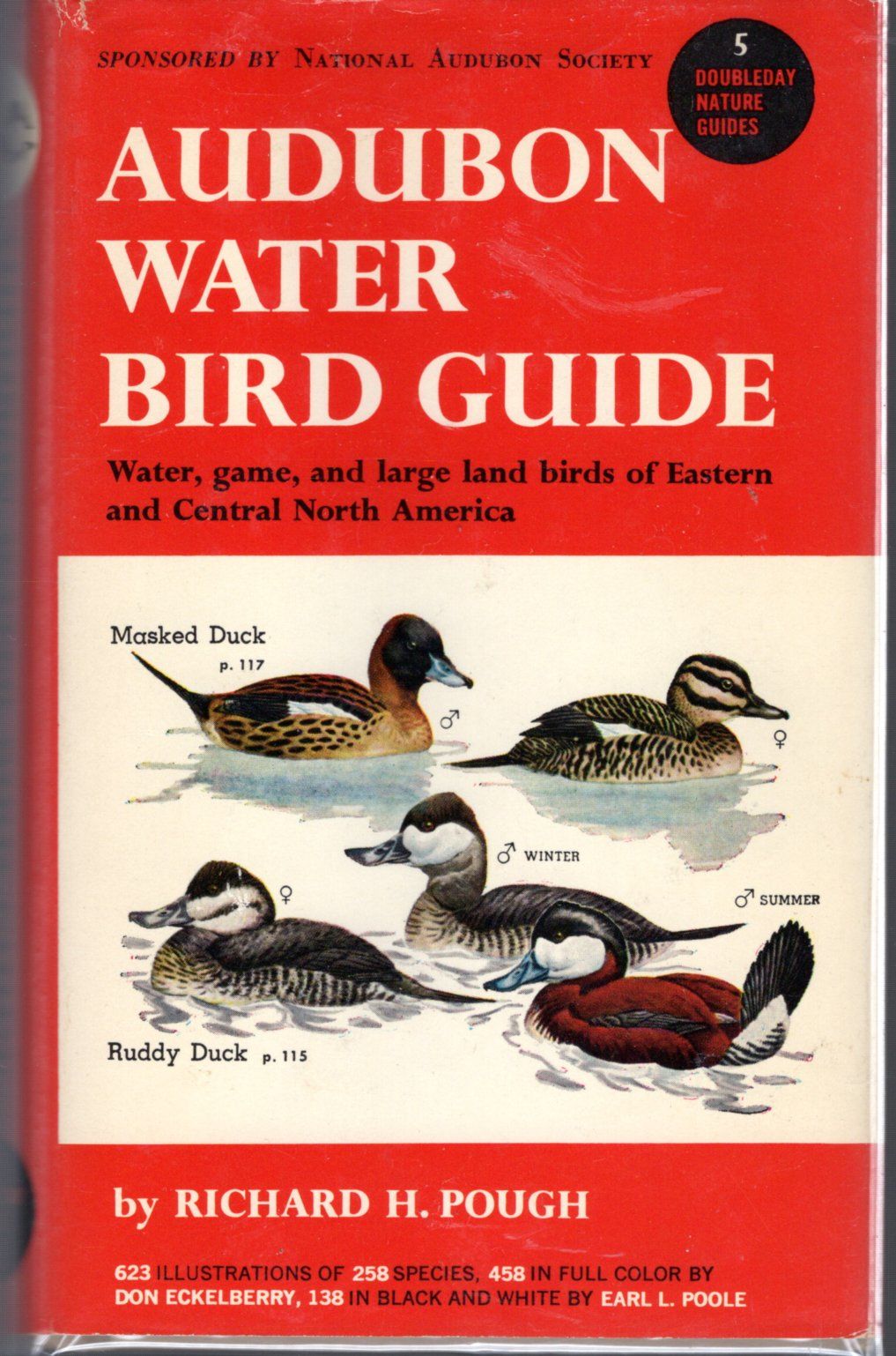 Audubon Water Bird Guide: Water, Game And Large Land Birds Eastern and  Central North America from Southern Texas&hellip; by Richard H Pough -  Hardcover - 1951 - from Dorley House Books (SKU: 095634)