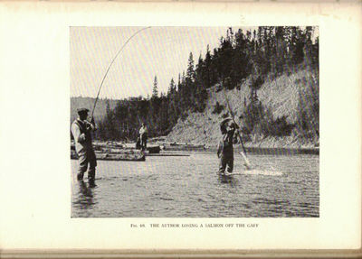 Secrets of the Salmon. (photo 3)