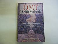 cover of DMT: The Spirit Molecule: A Doctor's Revolutionary Research into the Biology of Near-Death and Mystical Experiences