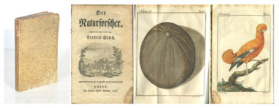 Der Naturforscher. Eilftes Stück.