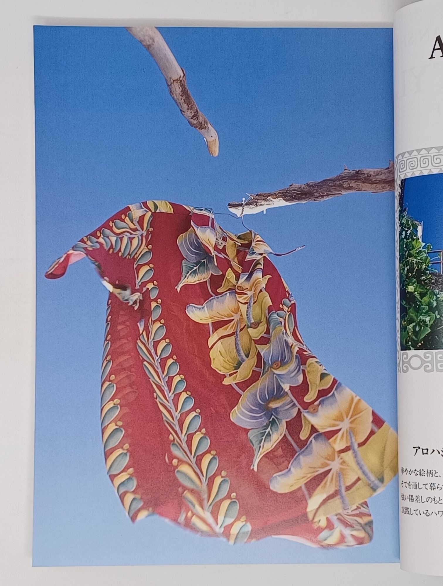 洋書 Hawaiian Shirt Designs book Hawaiian Shirt Designs (Schiffer Design Book): Schiffer