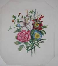 Album with Twenty-Two Watercolors, Mostly Botanical, Twelve Other Original Drawings and a Few Prints and Poems