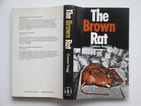 image of The brown rat