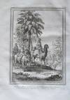 Original Engraving of Arabs Traders Traveling by Camel, horse and Oxen, published in 1748