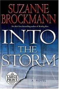 cover of Into the Storm
