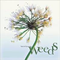 Weeds by Howard Bjornson - 2000-05-07