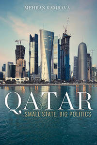 Qatar : Small State, Big Politics