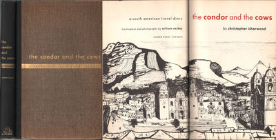 THE CONDOR AND THE COWS. A South American…