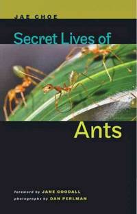 image of Secret Lives of Ants