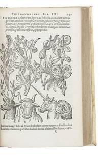 Phytognomonica Â Octo libris contenta; in quibus nova, facillimaque affertur methodus, qua plantarum, animalium, metallorum; rerum denique omnium ex prima extimae faciei inspectione quivis abditas vires assequatur. Frankfurt, Johann Wechel and Peter Fischer, 1591. 8vo. With title-page printed in red and black, woodcut printer&#039;s device, woodcut author&#039;s portrait on the back of the title-page and 32 woodcuts in text illustrating plants and their similarity to the various parts of the body. Later vellum. by PORTA, Giambattista della