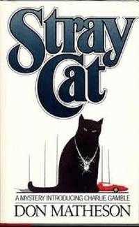 Stray Cat