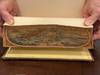 The Life and Adventures of Robinson Crusoe, with a Memoir of the Author, and an Essay on His Writings (Fore-Edge Painting)