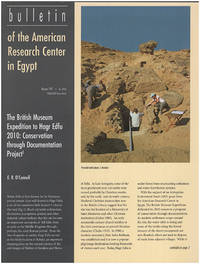 image of The British Museum Expedition to Hagr Edfu 2010: Conservation through Documentation Project