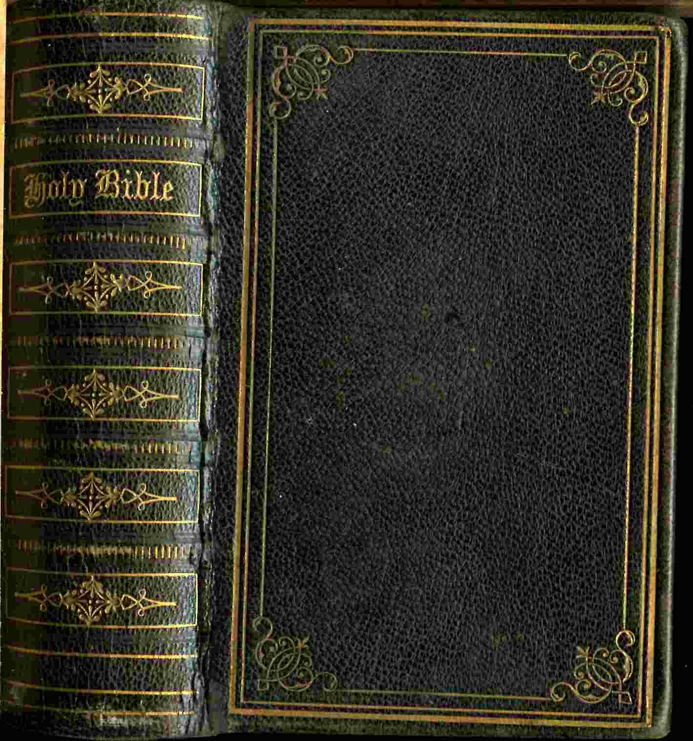 The Holy Bible, Containing the Old and New Testaments by Bible 1866