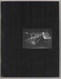 Krzysztof Wodiczko, New York City Tablaux: Tompkins Square