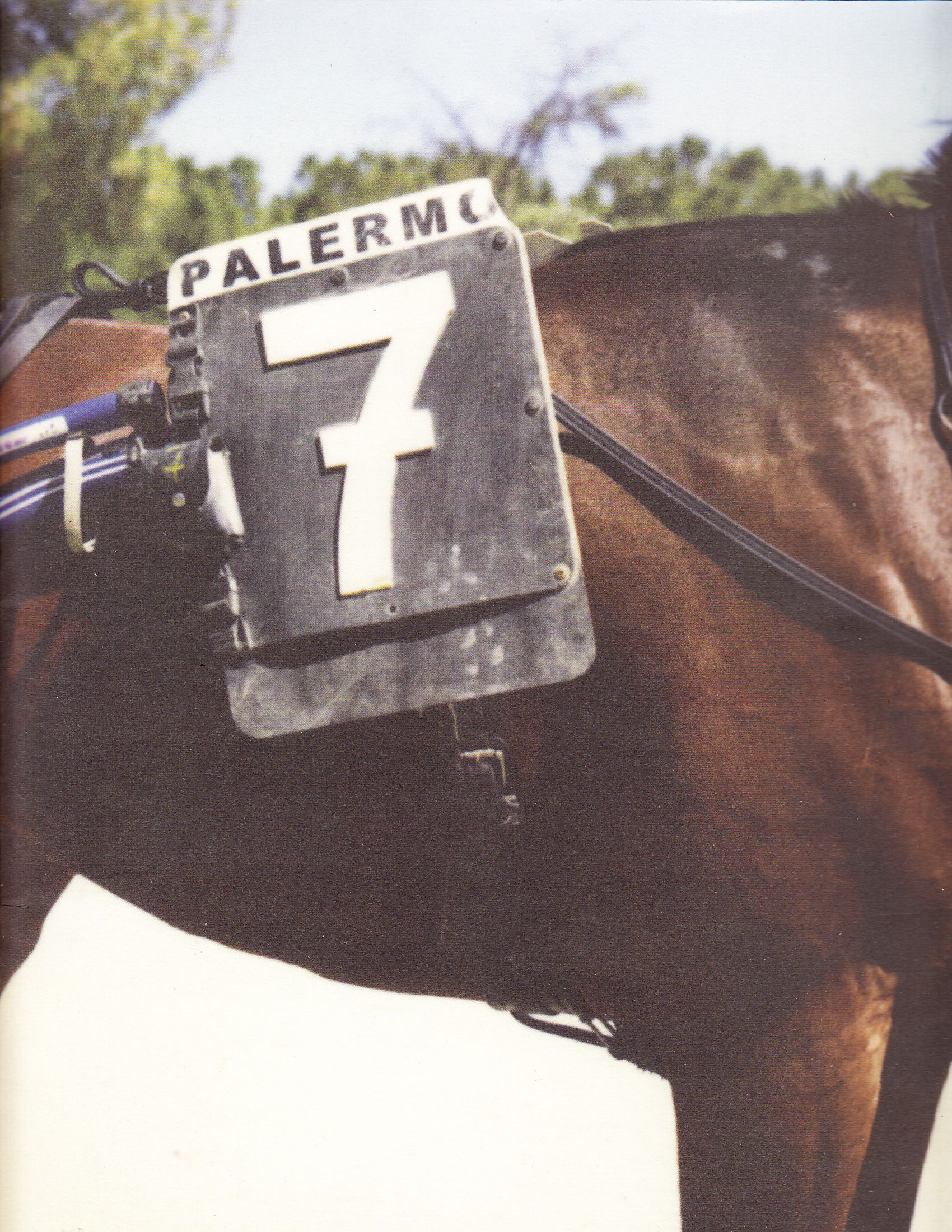 Charlotte Dumas - Palermo 7 - Printed Matter