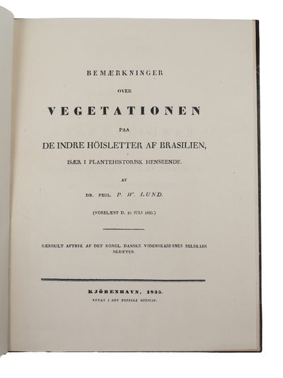 Bemærkninger over Vegetationen paa de indre Höisletter af Brasilien, især i plantehistorisk Henseende. - [VEGETATION IN BRAZIL.] (photo 2)