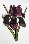 View Image 12 of 13 for The Gehenna Florilegium : Poems by Anthony Hecht : Woodcuts by Leonard Baskin Inventory #9736