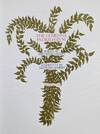View Image 3 of 13 for The Gehenna Florilegium : Poems by Anthony Hecht : Woodcuts by Leonard Baskin Inventory #9736