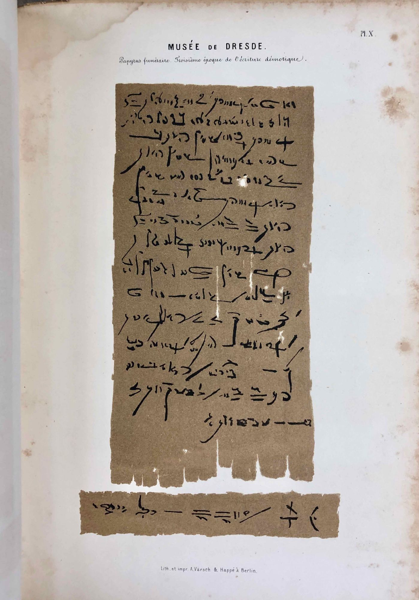 Grammaire Demotique Contenant Les Principes Generaux De La Langue Et De L Ecriture Populaires Des Anciens Egyptiens Avec Un Tableau General Des Signes Demotiques Et Dix Planches Y Annexees By Brugsch Heinrich