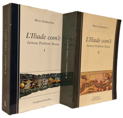 L'iliade com'è: Lettura, Problemi, Poesia. Vol.…
