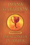 Dragonfly In Amber