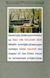 What the Twilight Says : Essays