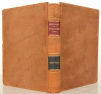image of The Adventures of Huckleberry Finn