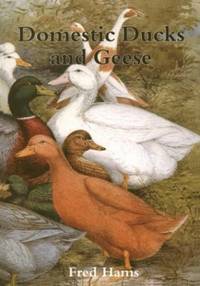 Domestic Ducks and Geese: 378 (Shire Library)