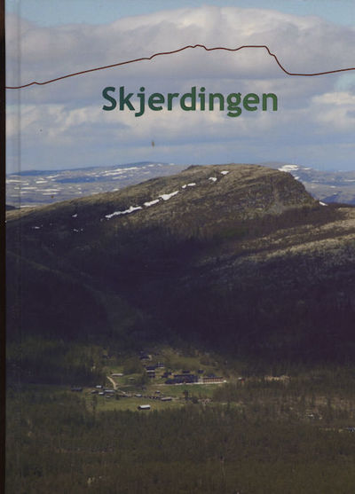 Skjerdingen