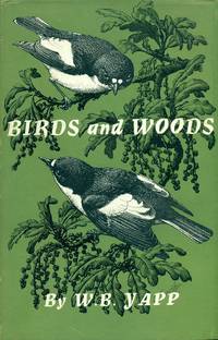 Birds and woods