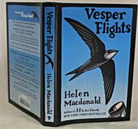 image of Vesper Flights