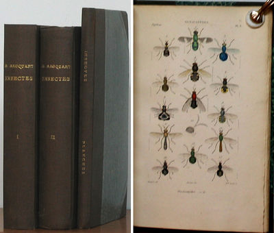 Histoire naturelle des insectes. Diptères.