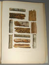 HISTOIRE NATURELLE DES QUINQUINAS