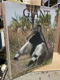 GIANT ANTEATER : A HOMECOMING TO IBERA