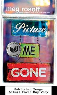 Picture Me Gone