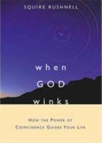 When God Winks: How the Power of Coincidence Guides Your Life (1) (The Godwink Series)