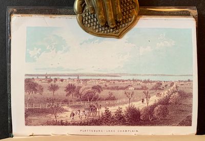 Dinsmore's Thirty Miles Around New York, by Railroad, Stage, Steamboat, Express and Telegraph: or, How to Get in and out of the Metropolis; Comprising the Name of Every City, Town, Village, Hamlet, Hotel and Country Seat of Note, Place of Resort, Public Work and Institution, within Thirty Miles of the New York City Hall