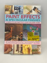 Paint Effects & Spectacular Finishes: a simple-to-use prac guide for every home: How to give...