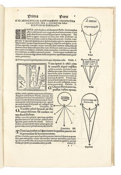 Perspectiva communis; (photo 2)