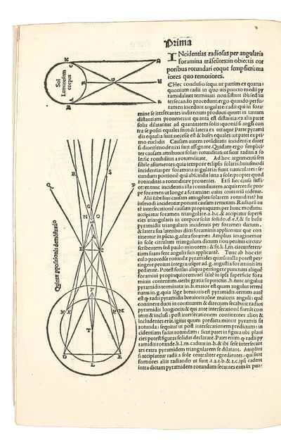 Perspectiva communis; (photo 4)