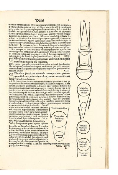 Perspectiva communis; (photo 5)