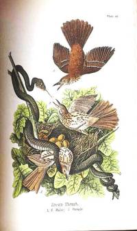 image of REPORT ON THE BIRDS OF PENNSYLVANIA. WITH SPECIAL REFERENCE TO THE FOOD-HABITS, BASEDON OVER FOUR THOUSAND STOMACH EXAMINATIONS