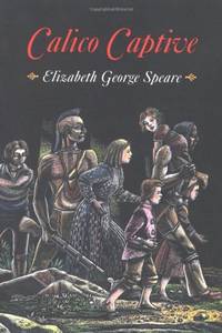 cover of Calico Captive
