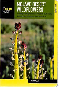 Mojave Desert Wildflowers