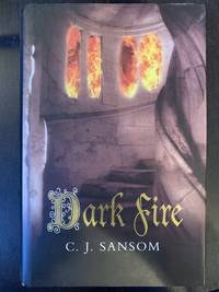 cover of Dark Fire