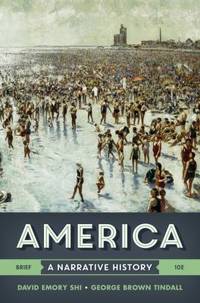 America Vol. 2 : A Narrative History